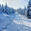 Séjour 2J traversée des Hautes-Vosges