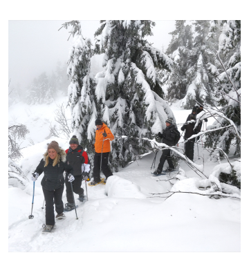 Séjour 5J Traversée des Hautes-Vosges