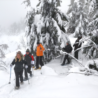 Séjour 5J Traversée des Hautes-Vosges