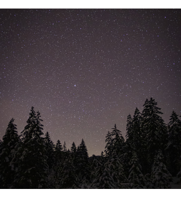 Balade nocturne en raquettes à neige à la découverte du ciel étoilé