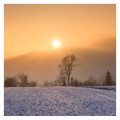 Balade en raquettes à neige coucher du soleil au Markstein