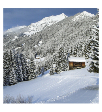 Balade Familiale au Markstein