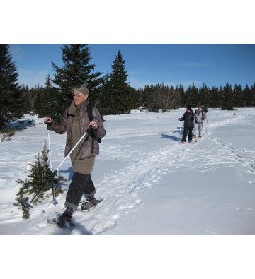 Balade en raquettes à neige du Bonhomme au Rossberg