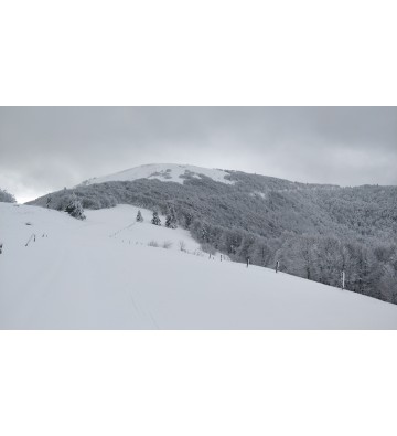 Balade en raquettes à neige du lac de Blanchemer