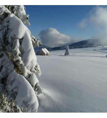 Sortie Raquettes à neige sur les chaumes du Hohneck