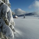 Sortie Raquettes à neige sur les chaumes du Hohneck