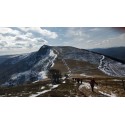 BALADE EN RAQUETTES À NEIGE SUR LES CHAUMES DU HOHNECK MASSIF DES VOSGES EN ALSACE