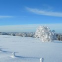 Balade en raquettes à neige sur les chaumes du Hohneck au départ de la Schlucht