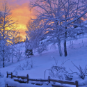 Journée en raquettes à neige à Gérardmer