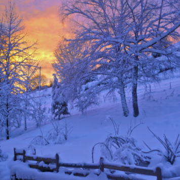 Sortie en raquettes à neige à Gérardmer, dans les Vosges