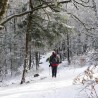 Balade en raquettes à neige privative au Rouge Gazon