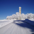 Journée en raquettes à neige au Champ du Feu
