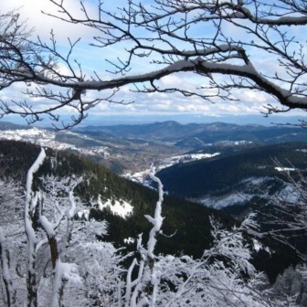 Sortie Raquettes à neige au Grand Ballon