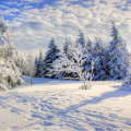Journée en raquettes à neige au Gaschney