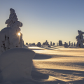 Journée en raquettes à neige au Gaschney