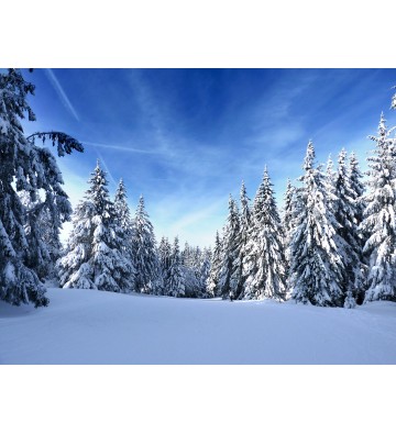 Bon cadeau pour une sortie en raquettes à neige et un repas