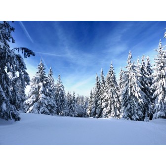 Bon cadeau pour une sortie en raquettes à neige et un repas