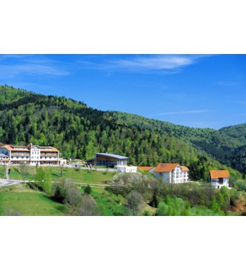 Séjour de 3 Jours à la montagne dans un hôtel très convivial à Bussang