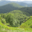 Séjour 4 jours 3 nuits du petit naturaliste !