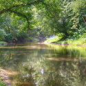 Séjour 4 jours 3 nuits du petit naturaliste !