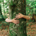 Séjour découverte sylvothérapie dans le massif des Vosges