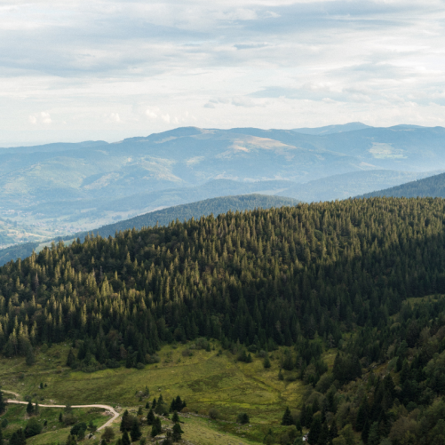 Balade au Tanet près du col de la Schlucht