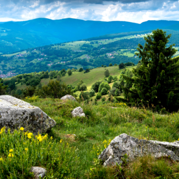 Séjour randonnée et yoga dans les Vosges