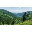 Séjour randonnée dans les Vosges