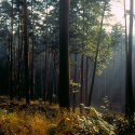 Séjour découverte du massif des Vosges 4 Jours