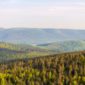 Séjour découverte du massif des Vosges 4 Jours