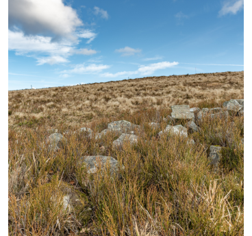 Randonnée sur les chaumes du Markstein