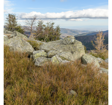 Sorties à la journée sur les chaumes du Markstein