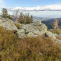 Randonnée sur les chaumes du Markstein