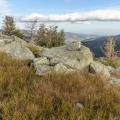 Journée randonnée sur les chaumes du Markstein