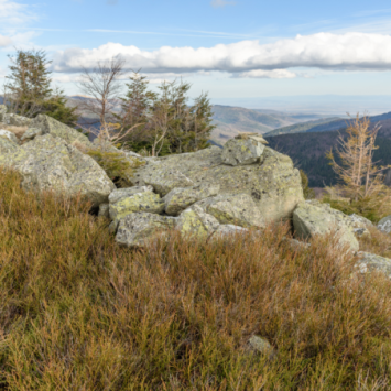 Randonnée sur les chaumes du Markstein