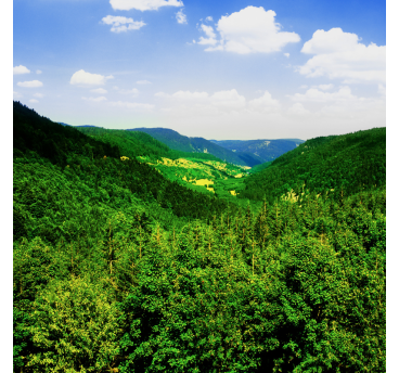 Journée à la découverte des lacs vosgiens et du Rothenbachkopf