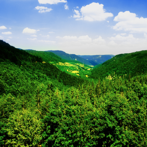 Journée à la découverte des lacs vosgiens et du Rothenbachkopf