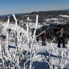 Balade en raquettes à neige et descentes en luge