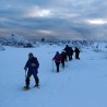 Balade en raquette à neige avec pique-nique