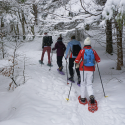 Journée découverte de la raquette à neige le 3 mars 2019 au Col de la Schlucht