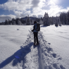 Journée en raquette à neige avec pique-nique