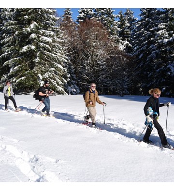 Balade en raquettes à neige du Bonhomme au Rossberg