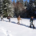 Balade en raquettes à neige du Bonhomme au Rossberg