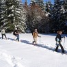 Balade en raquettes à neige privative dans les Vosges