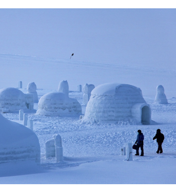 Sortie familiale en raquettes à neige et construction d'igloo