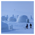 Balade en raquettes à neige au Markstein et construction Igloo