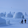 Balade en raquettes à neige au Markstein et construction Igloo