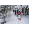 Balade en raquettes à neige privative dans les Vosges
