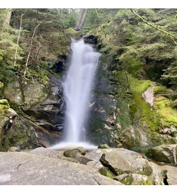 Profitez d'une journée captivante entre tourbières et cascade dans les Vosges