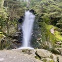 Profitez d'une journée captivante entre tourbières et cascade dans les Vosges